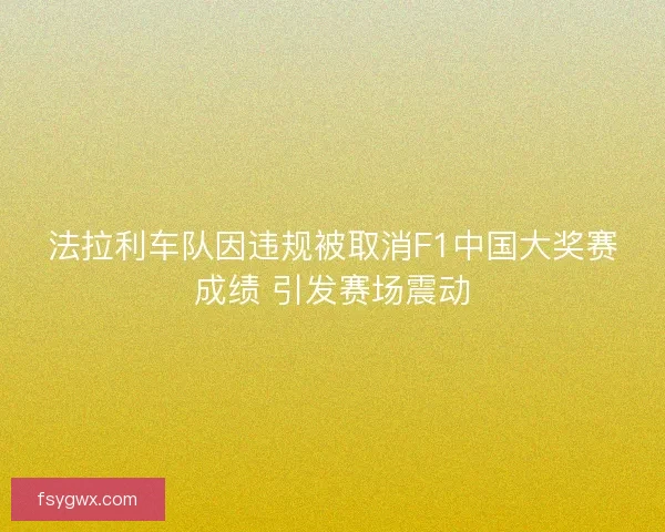 法拉利车队因违规被取消F1中国大奖赛成绩 引发赛场震动