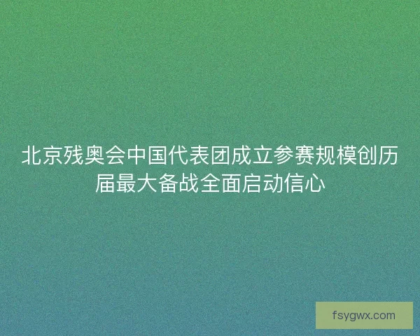 北京残奥会中国代表团成立参赛规模创历届最大备战全面启动信心