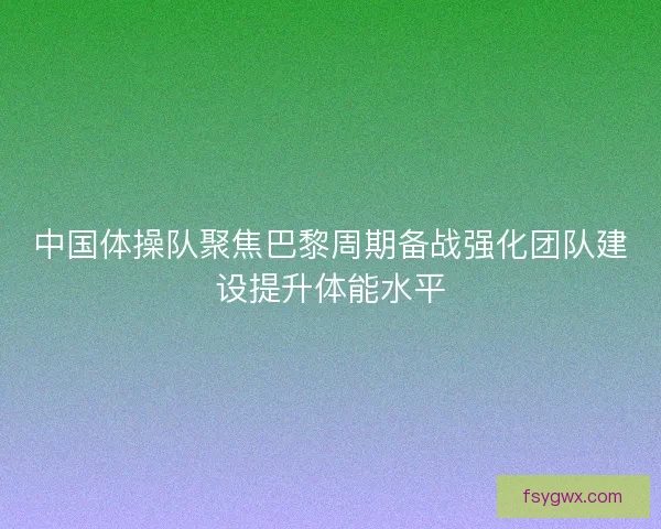 中国体操队聚焦巴黎周期备战强化团队建设提升体能水平
