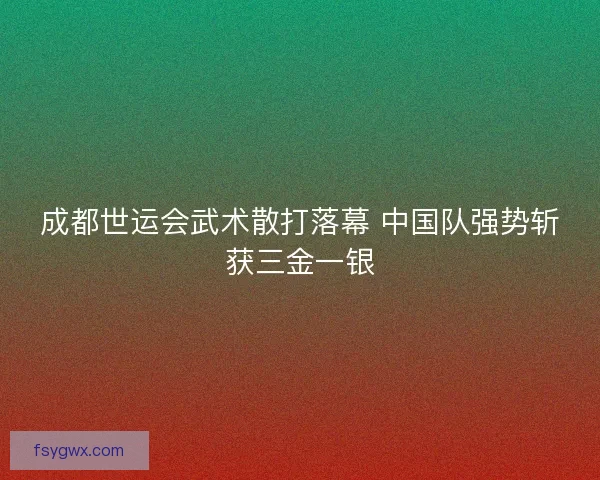 成都世运会武术散打落幕 中国队强势斩获三金一银
