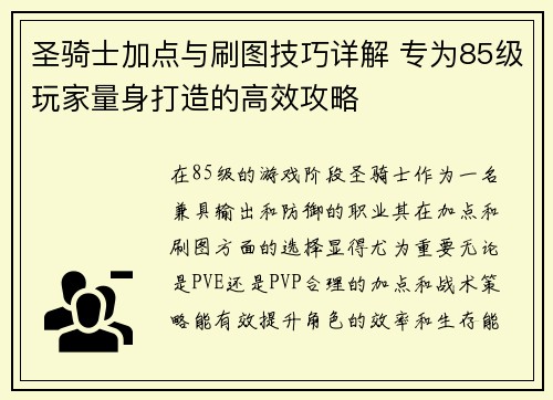 圣骑士加点与刷图技巧详解 专为85级玩家量身打造的高效攻略